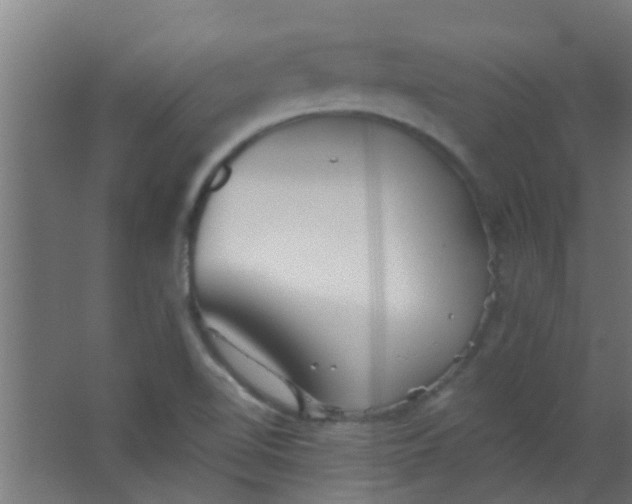 X0000063451510200602031754