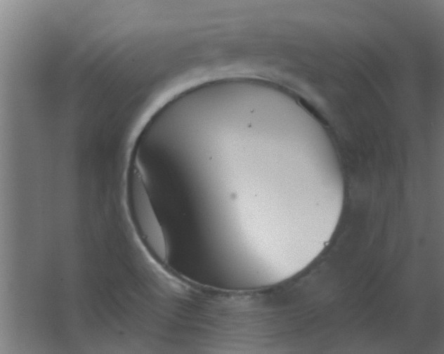 X0000063451512200602031754