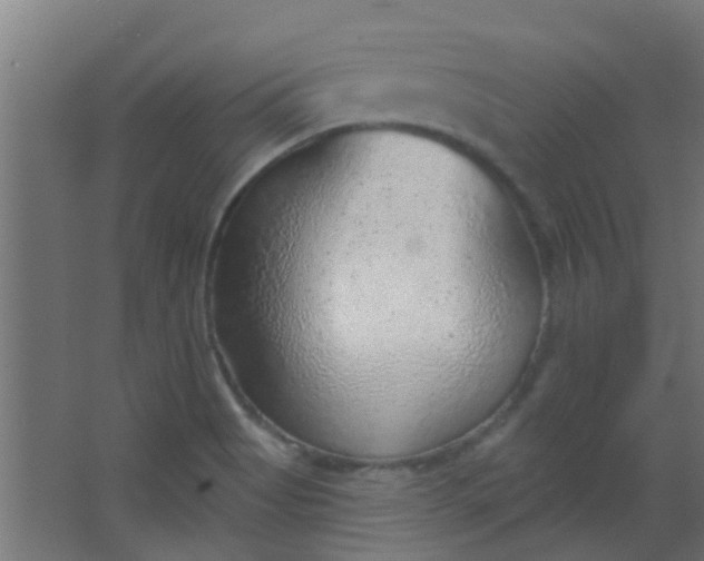 X0000063451513200602031754