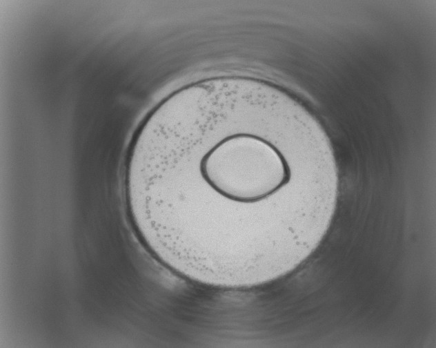 X0000063451514200602031754