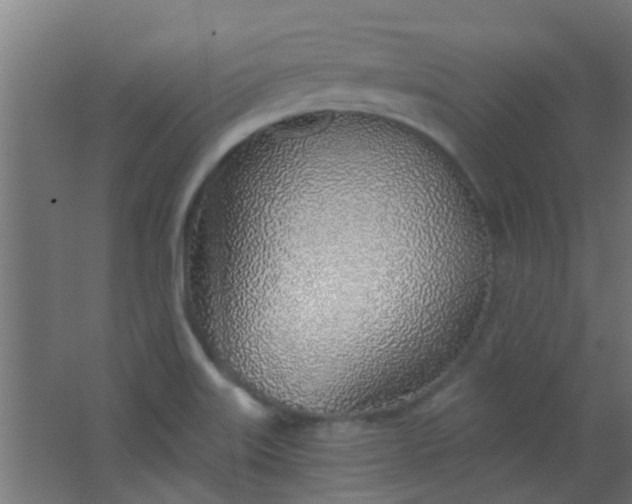 X0000063451515200602031754