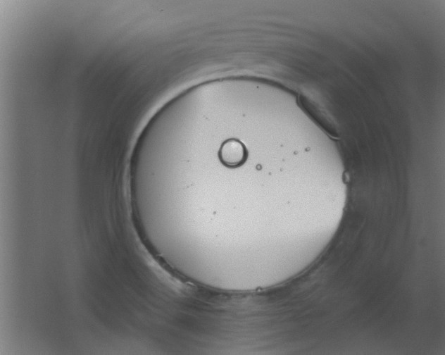 X0000063451516200602031754