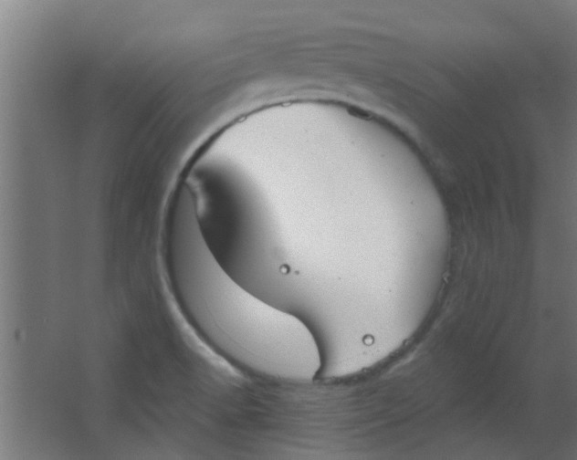 X0000063451518200602031754