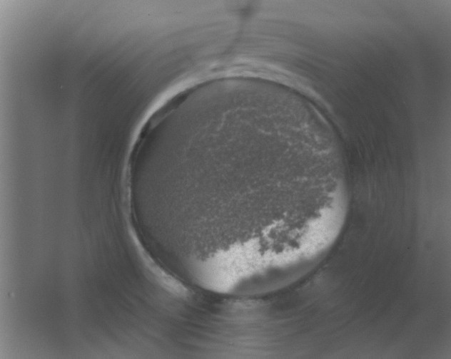 X0000063451522200602031754