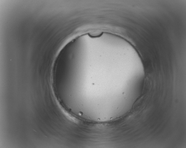 X0000063451523200602031755