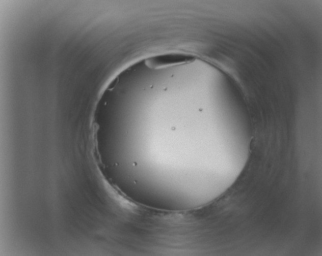 X0000063451524200602031755