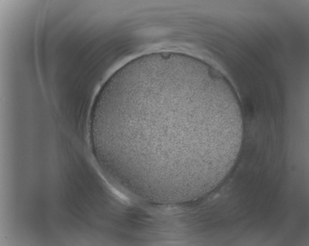 X0000063451525200602031755