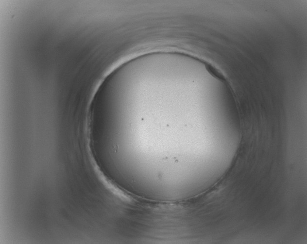 X0000063451526200602031755