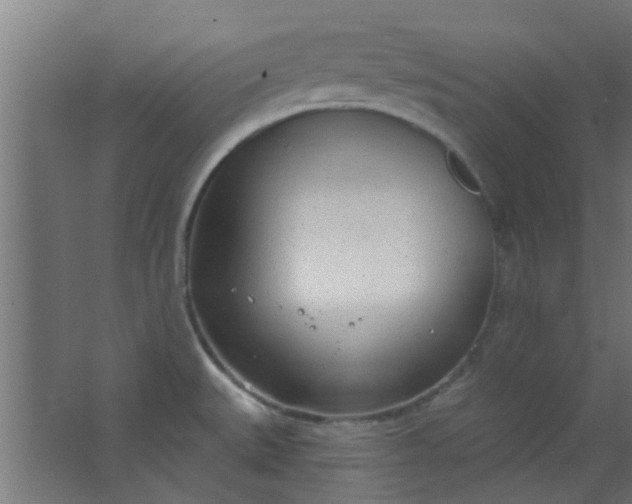 X0000063451527200602031755