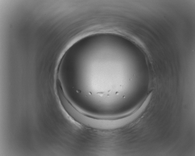 X0000063451528200602031755