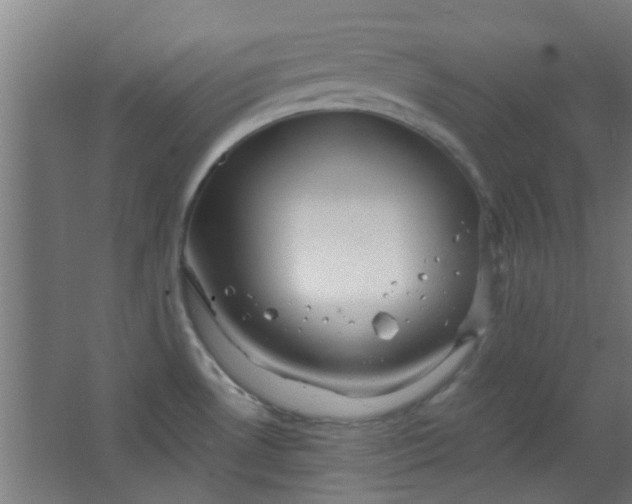 X0000063451530200602031755