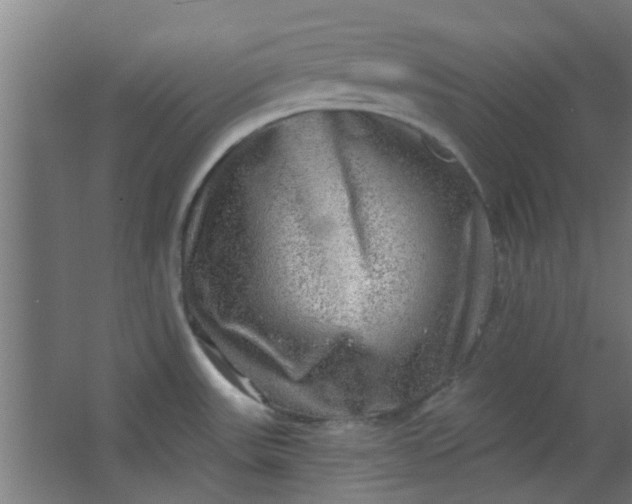 X0000063451531200602031755