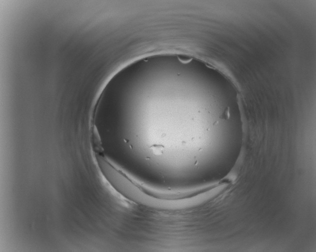 X0000063451532200602031755