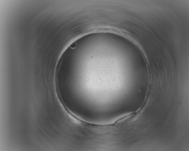 X0000063451533200602031755