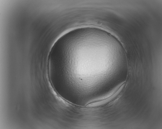 X0000063451534200602031755