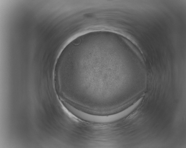 X0000063451535200602031755