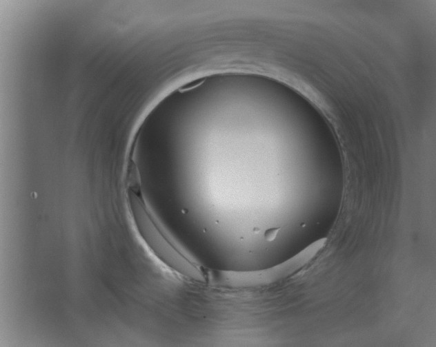 X0000063451536200602031755