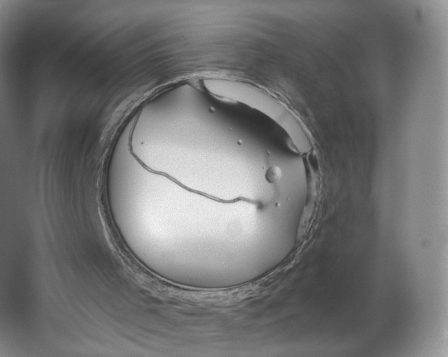 X0000063450001200602101700