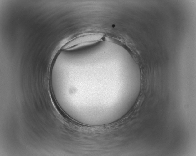 X0000063450003200602101700