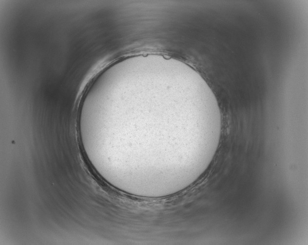 X0000063450004200602101700