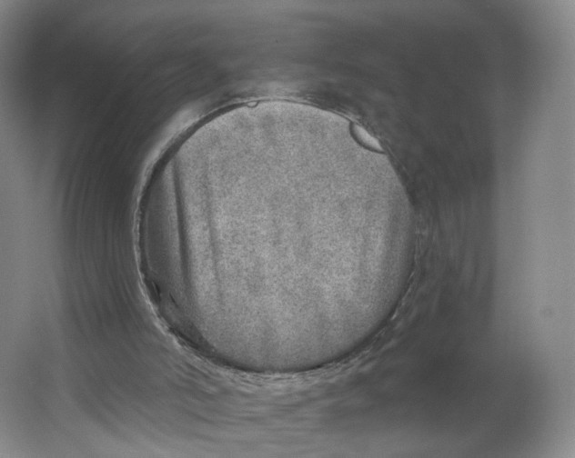 X0000063450006200602101700