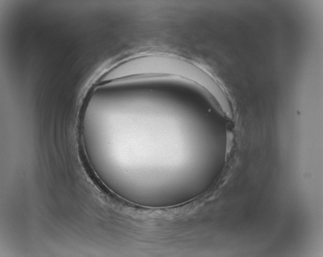 X0000063450007200602101700