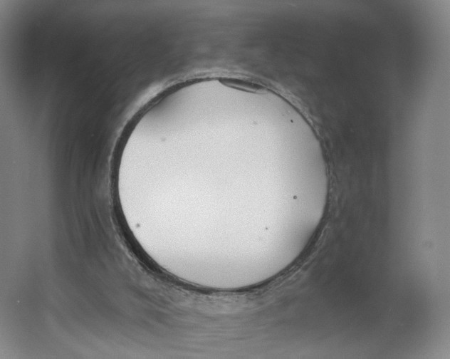 X0000063450008200602101700