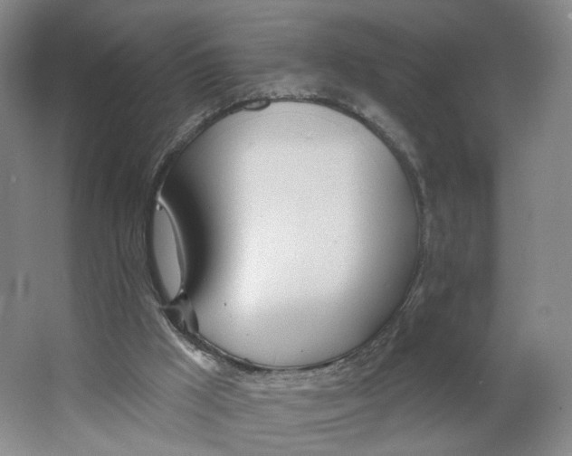 X0000063450009200602101700