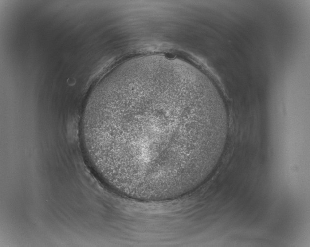 X0000063450010200602101700