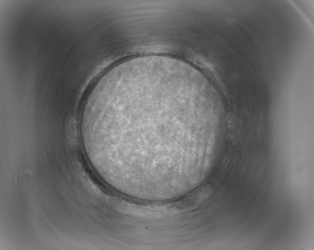 X0000063450012200602101700