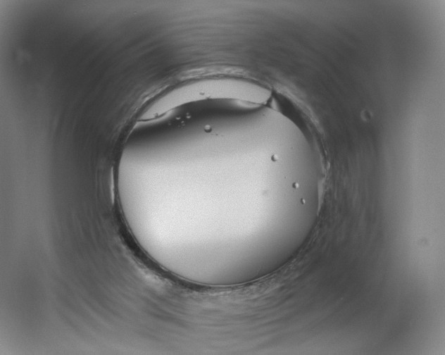 X0000063450013200602101700