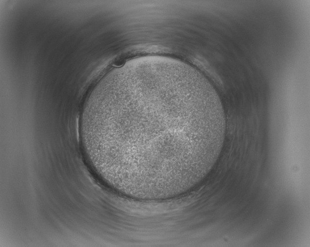 X0000063450014200602101700