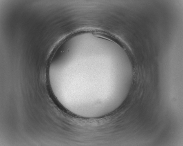 X0000063450015200602101700