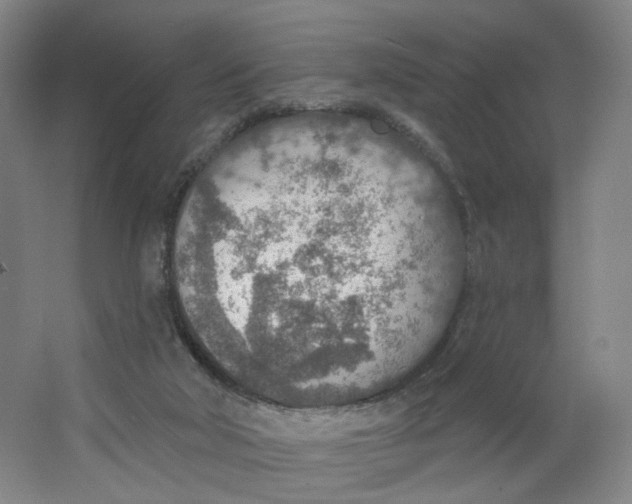 X0000063450018200602101700