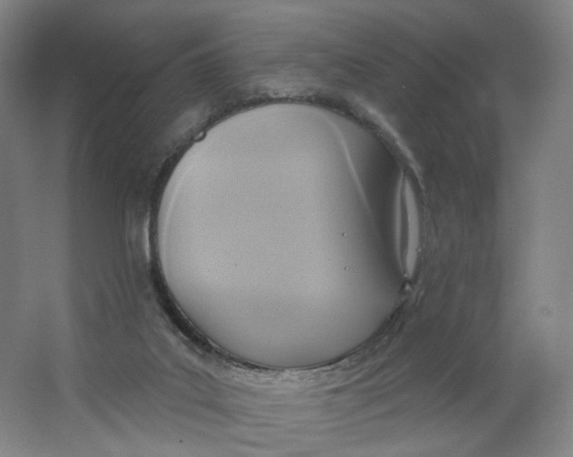 X0000063450019200602101700