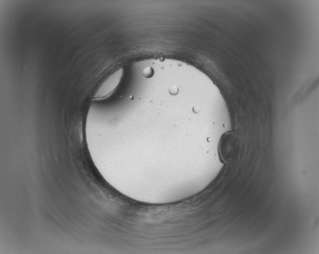 X0000063450021200602101700