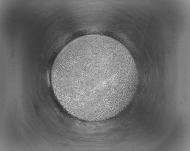 X0000063450022200602101700