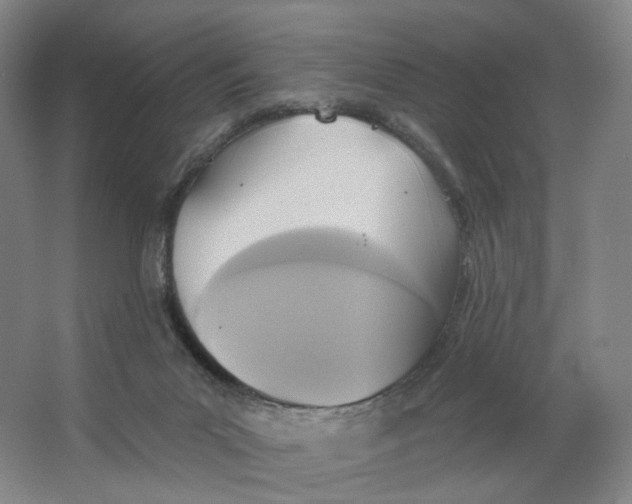 X0000063450023200602101700