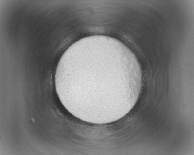 X0000063450024200602101700