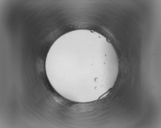 X0000063450025200602101700