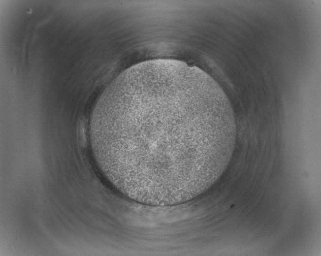 X0000063450026200602101700