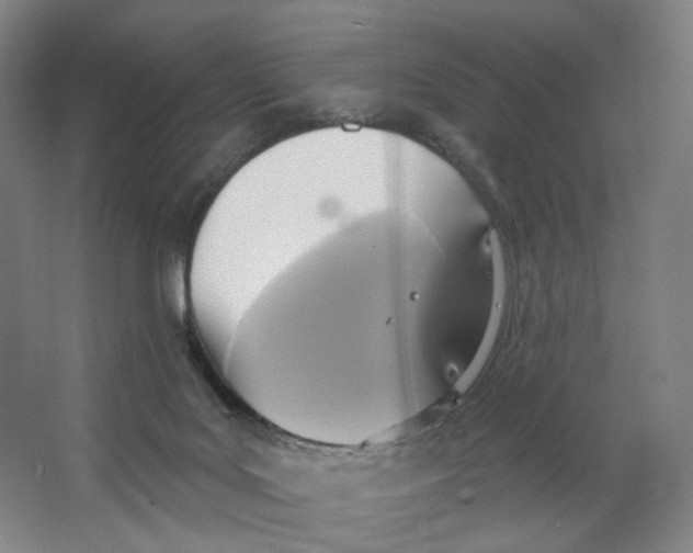 X0000063450027200602101700