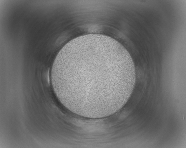 X0000063450028200602101700