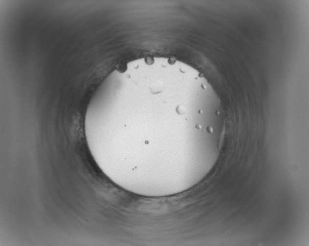 X0000063450029200602101700