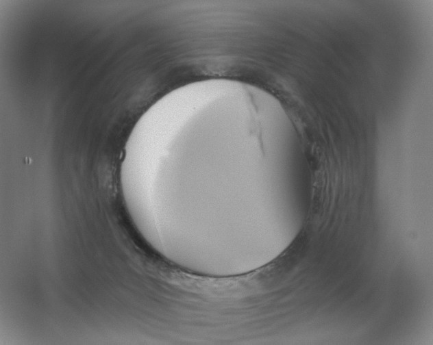 X0000063450031200602101700