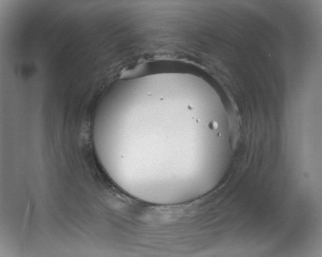 X0000063450033200602101700