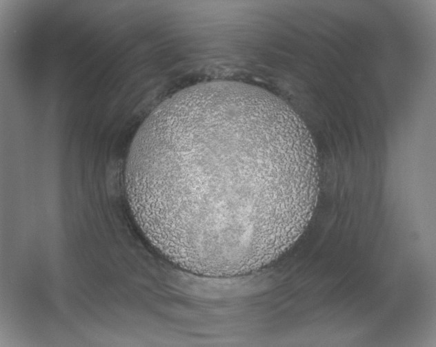 X0000063450034200602101700