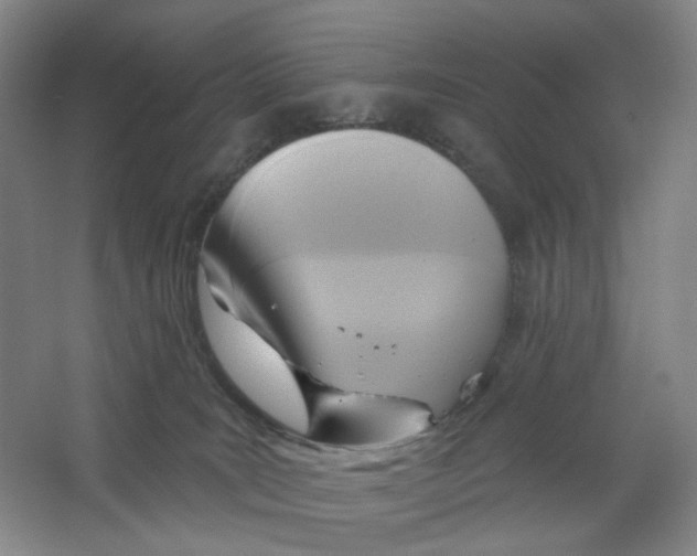 X0000063450035200602101700