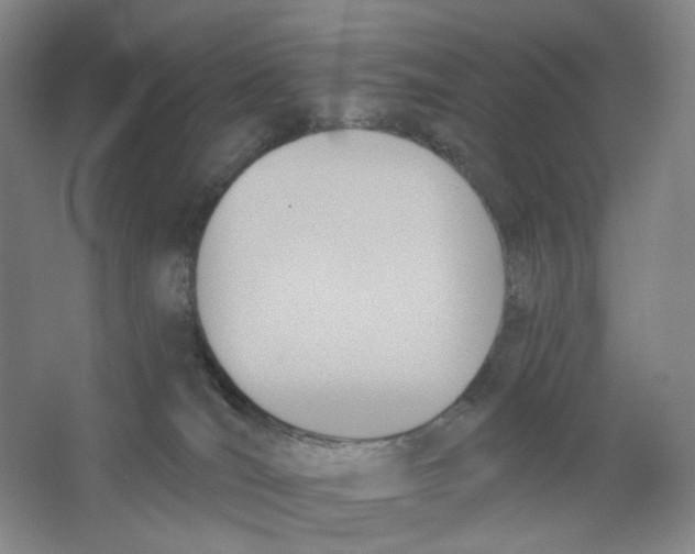 X0000063450036200602101700