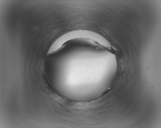 X0000063450037200602101700